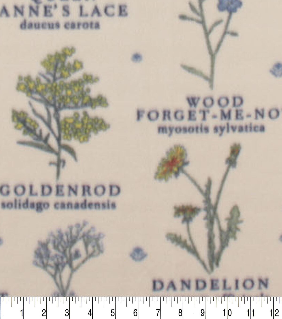 Flower Names on Beige Anti Pill Fleece Fabric