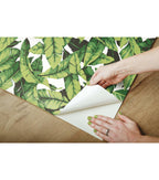 RoomMates Palm Leaf Peelable Wallpaper