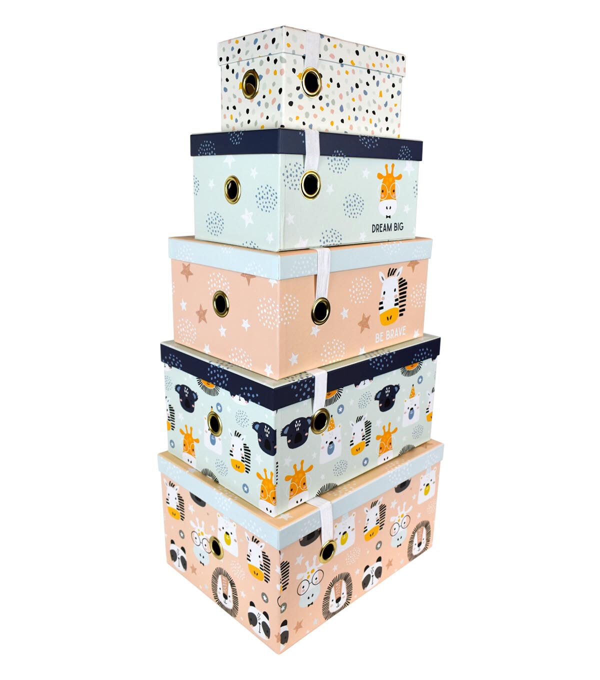 9 Multi Dots Rectangle Box With Elastic Closure