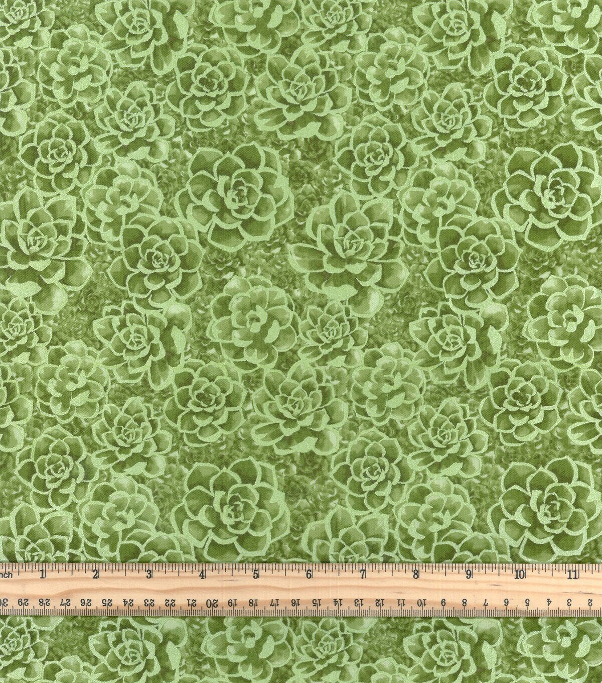 Pearlescent Green Succulent Quilt Cotton Fabric by Keepsake Calico