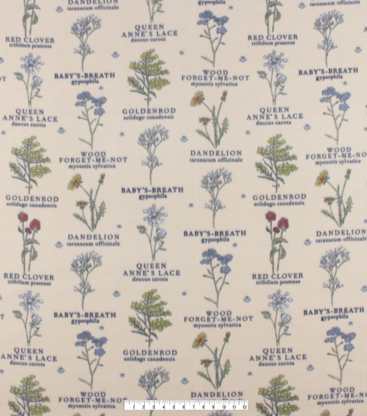 Flower Names on Beige Anti Pill Fleece Fabric