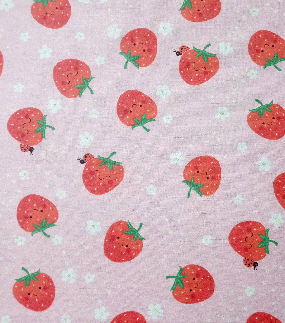 Red Strawberries Super Snuggle Flannel Fabric by POP!