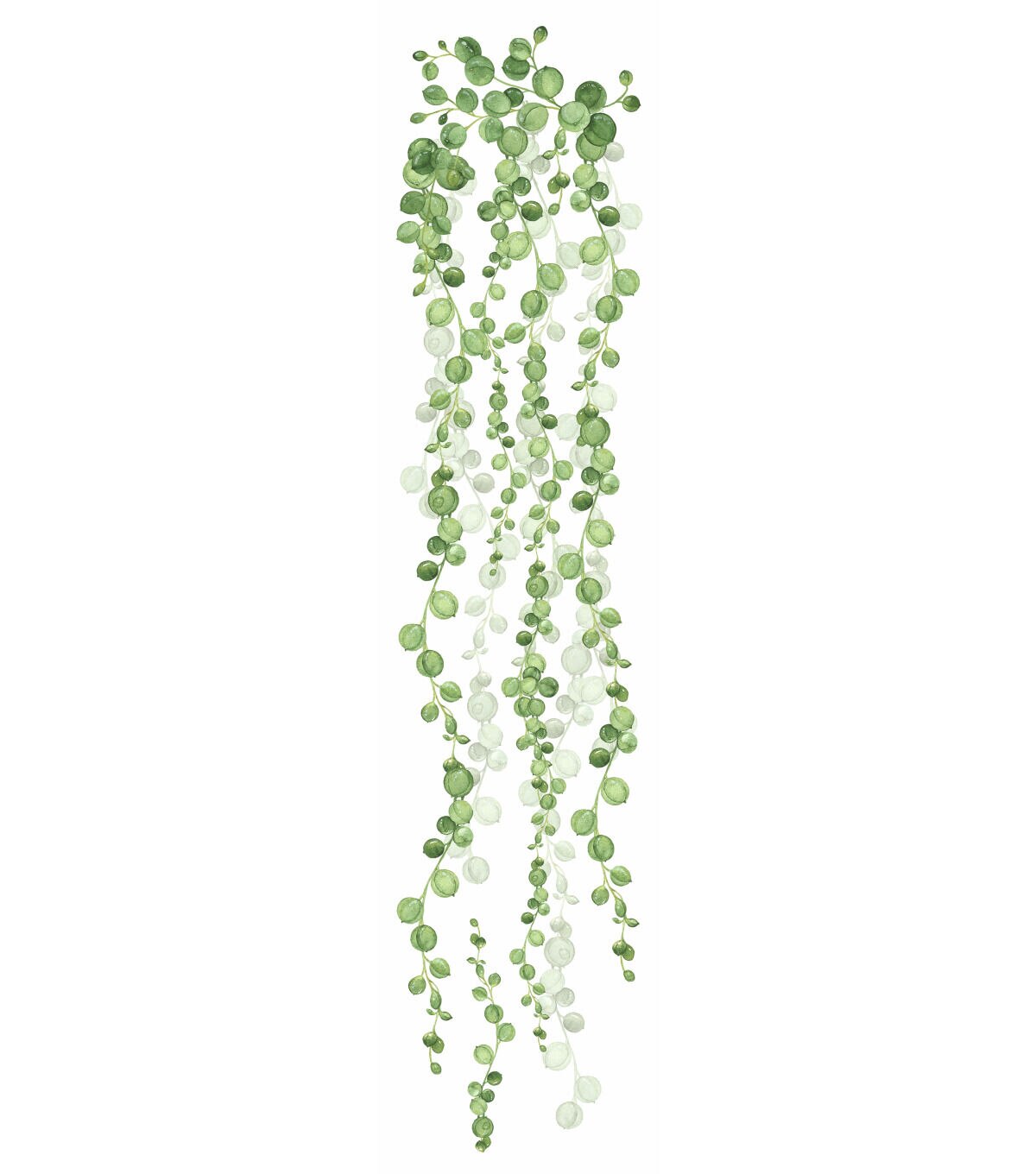 York Wallcoverings Wall Decals String of Pearls Vine