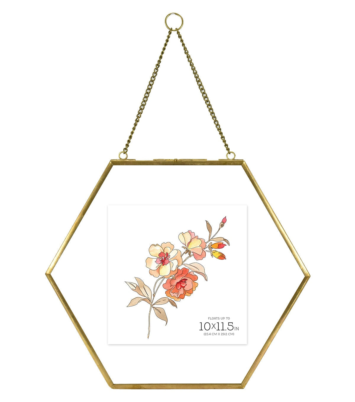 MCS 10x11.5 Brass Pressed Hexagonal Float Picture Frame