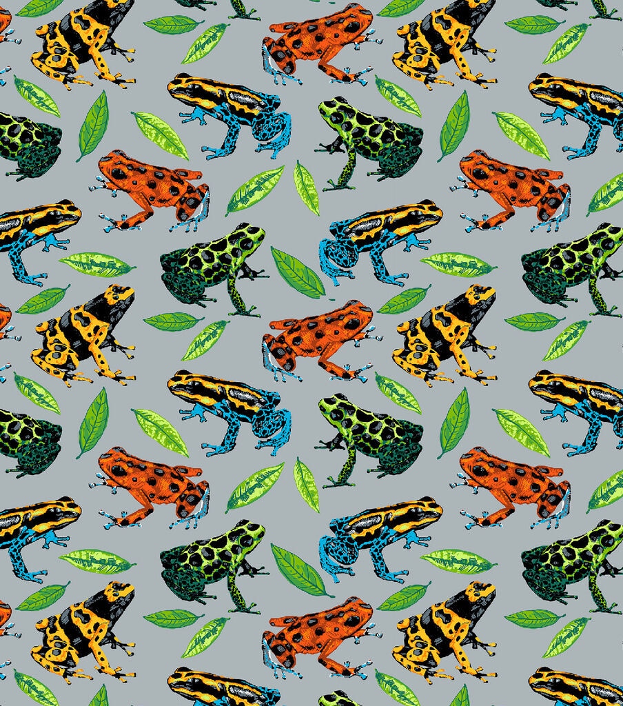 Dart Frogs Super Snuggle Flannel Fabric