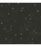 RoomMates Wallpaper Black Upon a Star