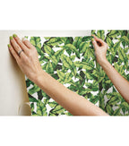 RoomMates Palm Leaf Peelable Wallpaper