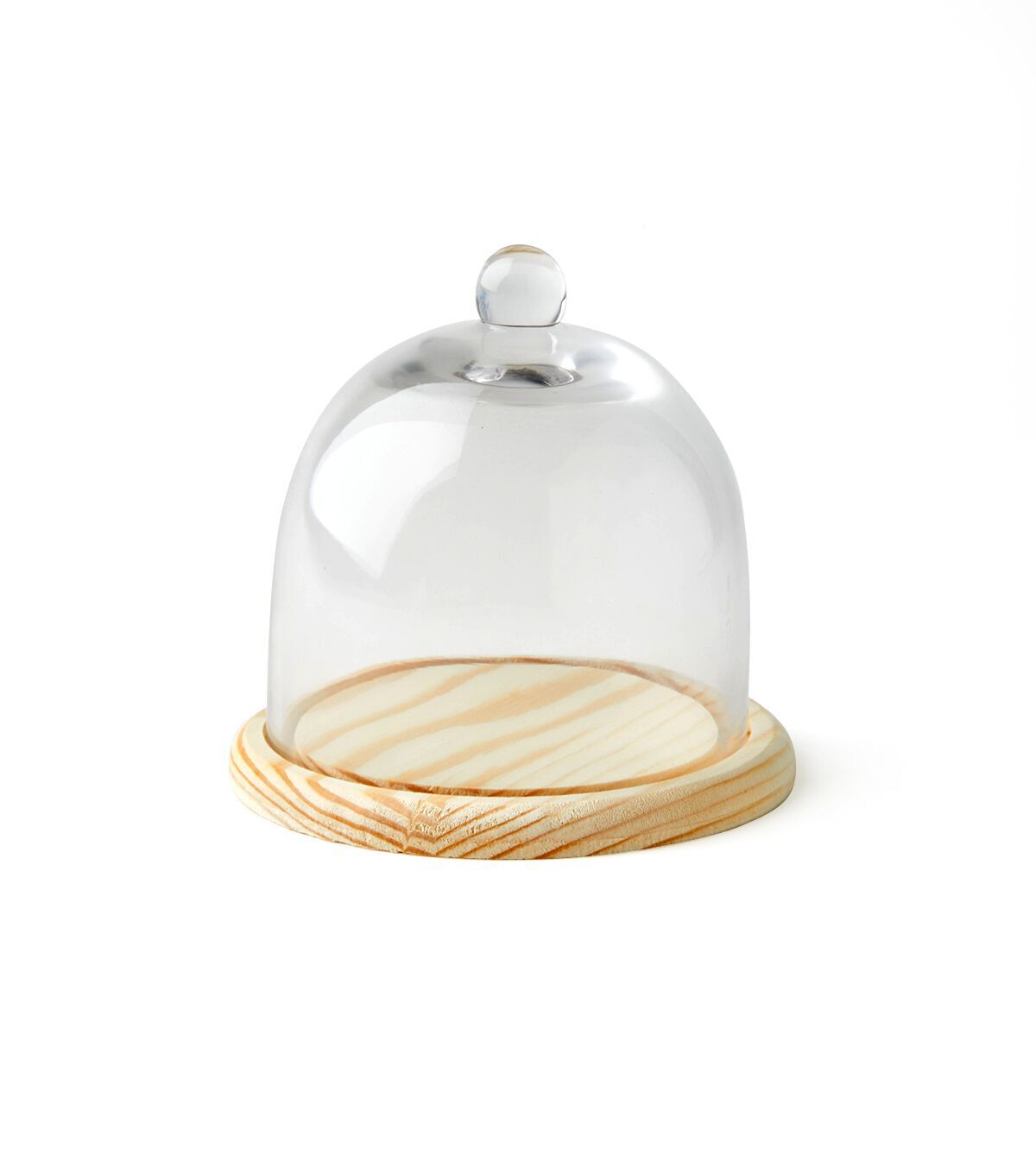 5 Dome Handle Top Glass Terrarium by Park Lane