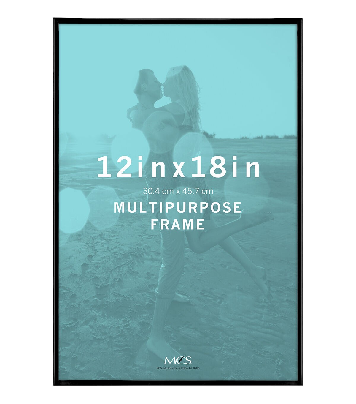 MCS Industries Single Image Multipurpose Frame 12'' x 18'' Black