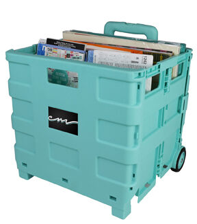 Everything Mary 16 Light Green Plastic Collapsible Cart Organizer