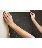 RoomMates Wallpaper Black Upon a Star