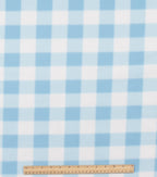 Blue Gingham Blizzard Fleece Fabric