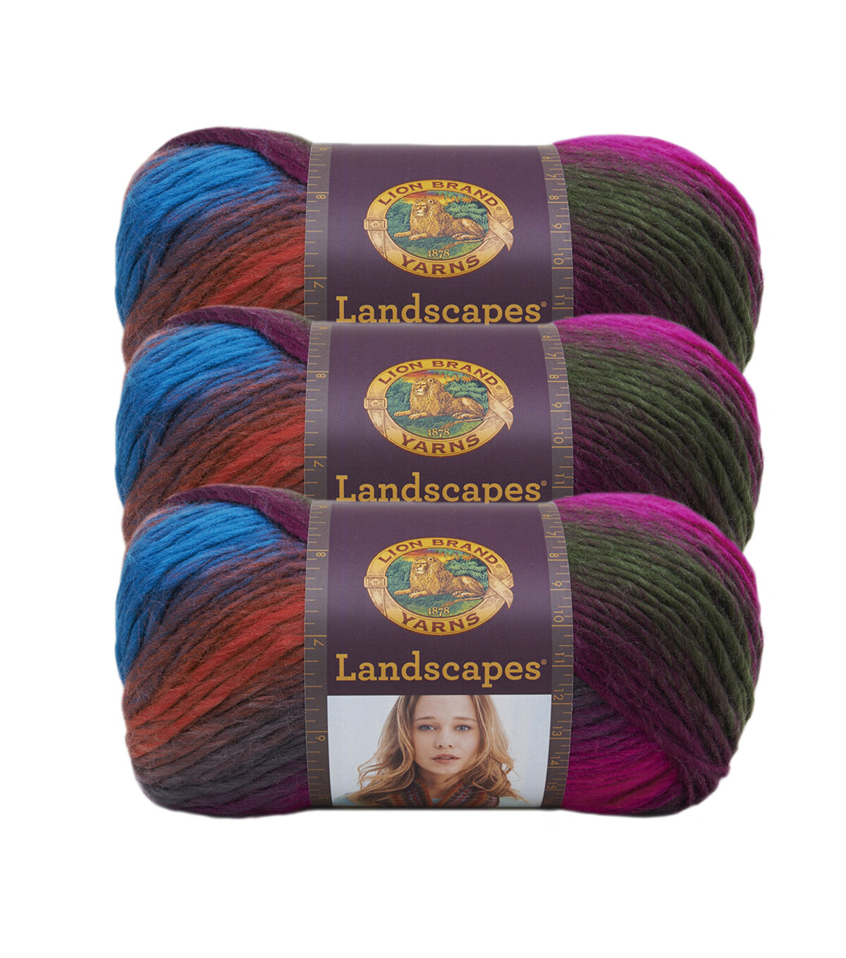 Lion Brand Landscapes 147yds Worsted Acrylic Yarn 3 Bundle
