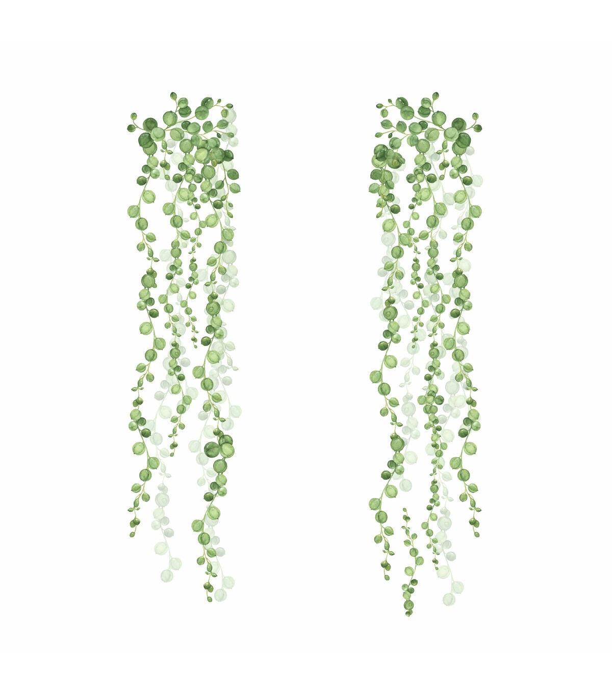 York Wallcoverings Wall Decals String of Pearls Vine