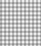 Gingham Blue Super Snuggle Flannel Fabric