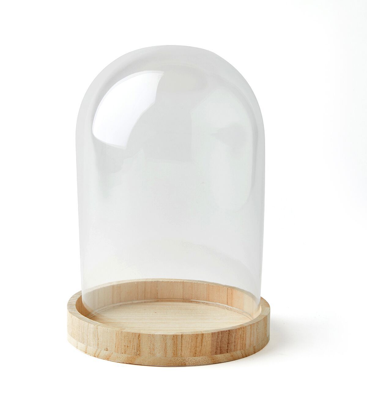 9.5 Dome Top Glass Terrarium by Park Lane
